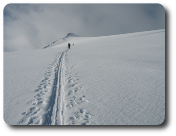 Traccia nella neve