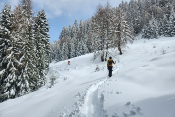 Due scialpinisti risalgono un pendio innevato tra gli alberi.