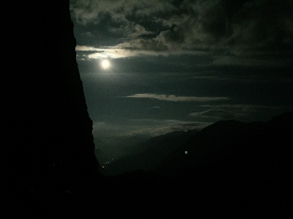 IMG_0513