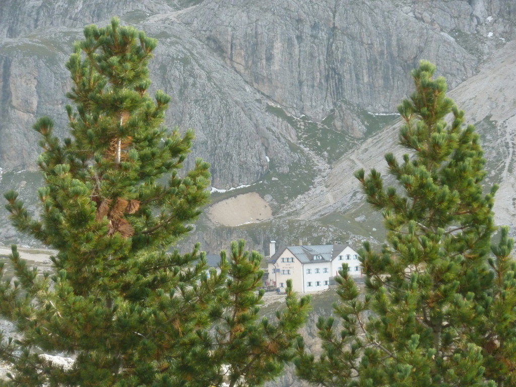 P1030917