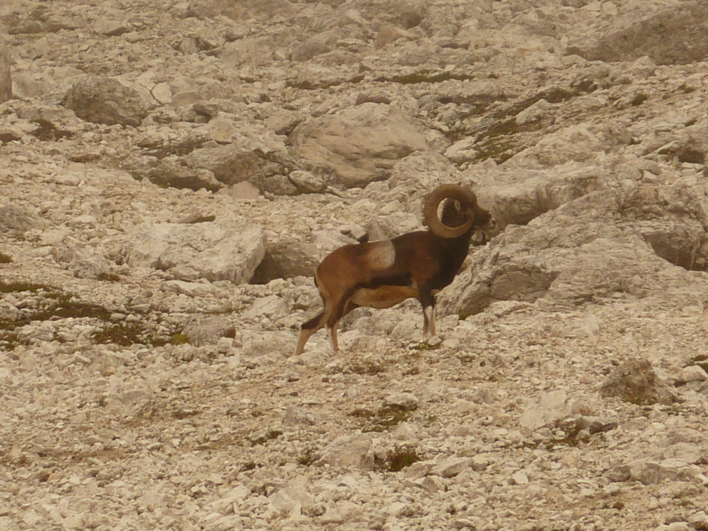 P1030928