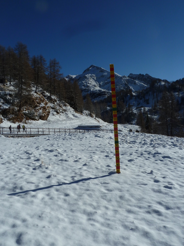 P1040131