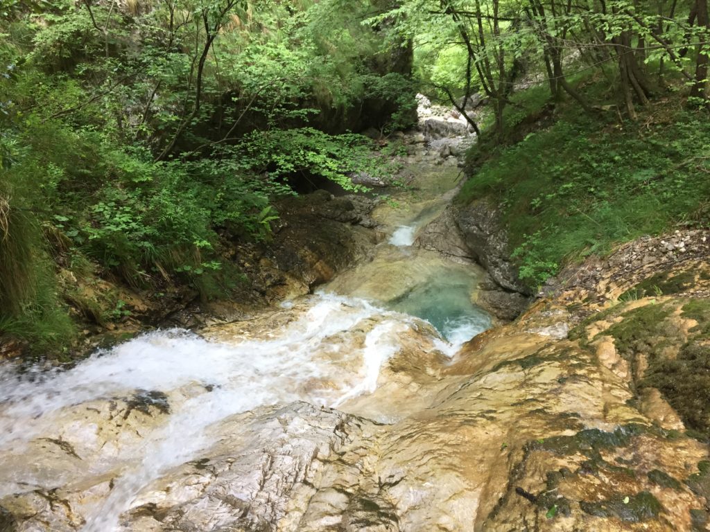 IMG_8569