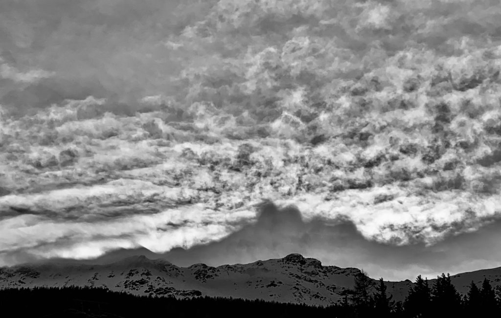 IMG_1315