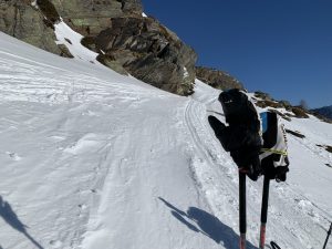 IMG_6196