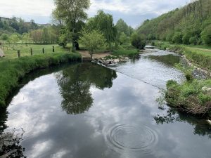 IMG_7490
