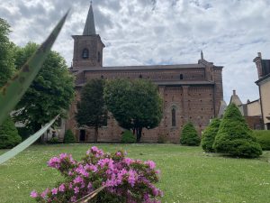 IMG_7552