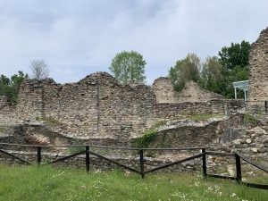 IMG_7575